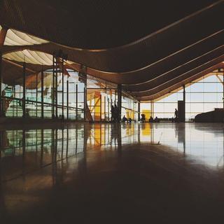 Curved wooden sculptural roof of an airport