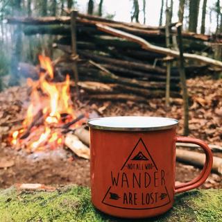 A mug sat on a log in front of a fire in the woods that reads: Not all who wander are lost.