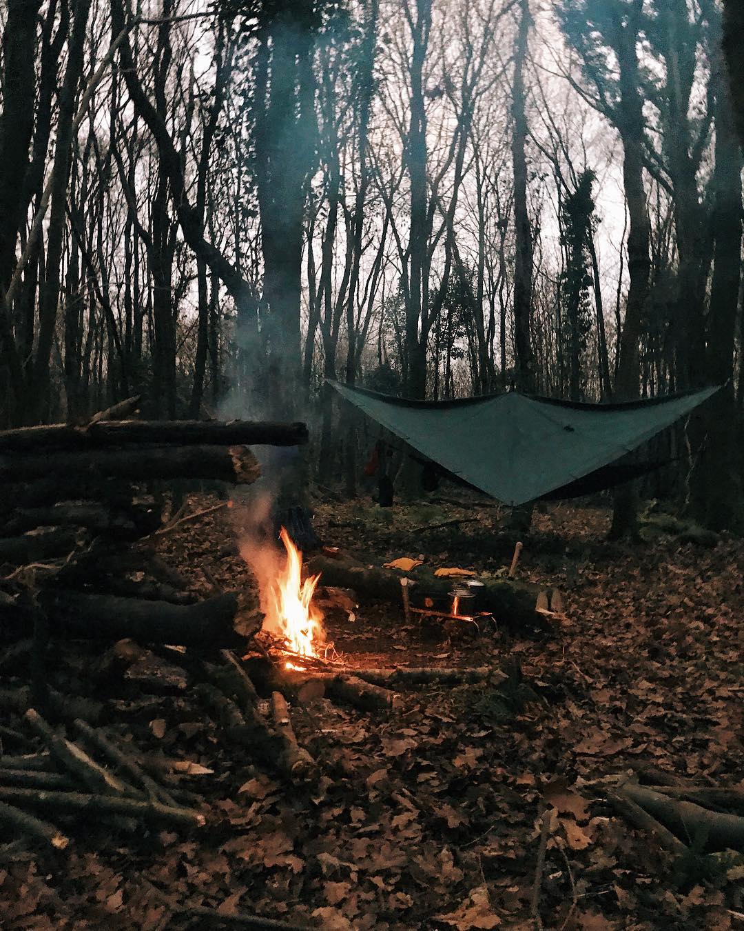 A campfire and hammock in some woods in autumn