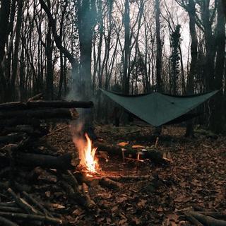 A campfire and hammock in some woods in autumn