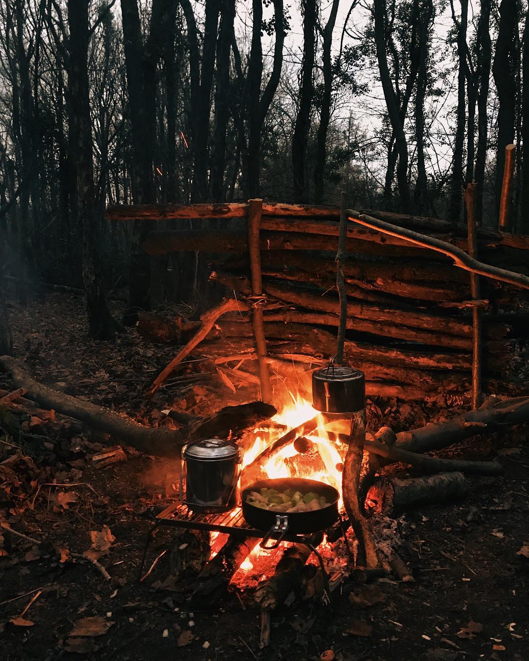 Pots cooking food over a campfire