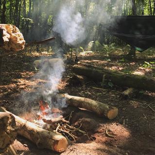 A campfire in the woods, smoke amongst rays of sunlight