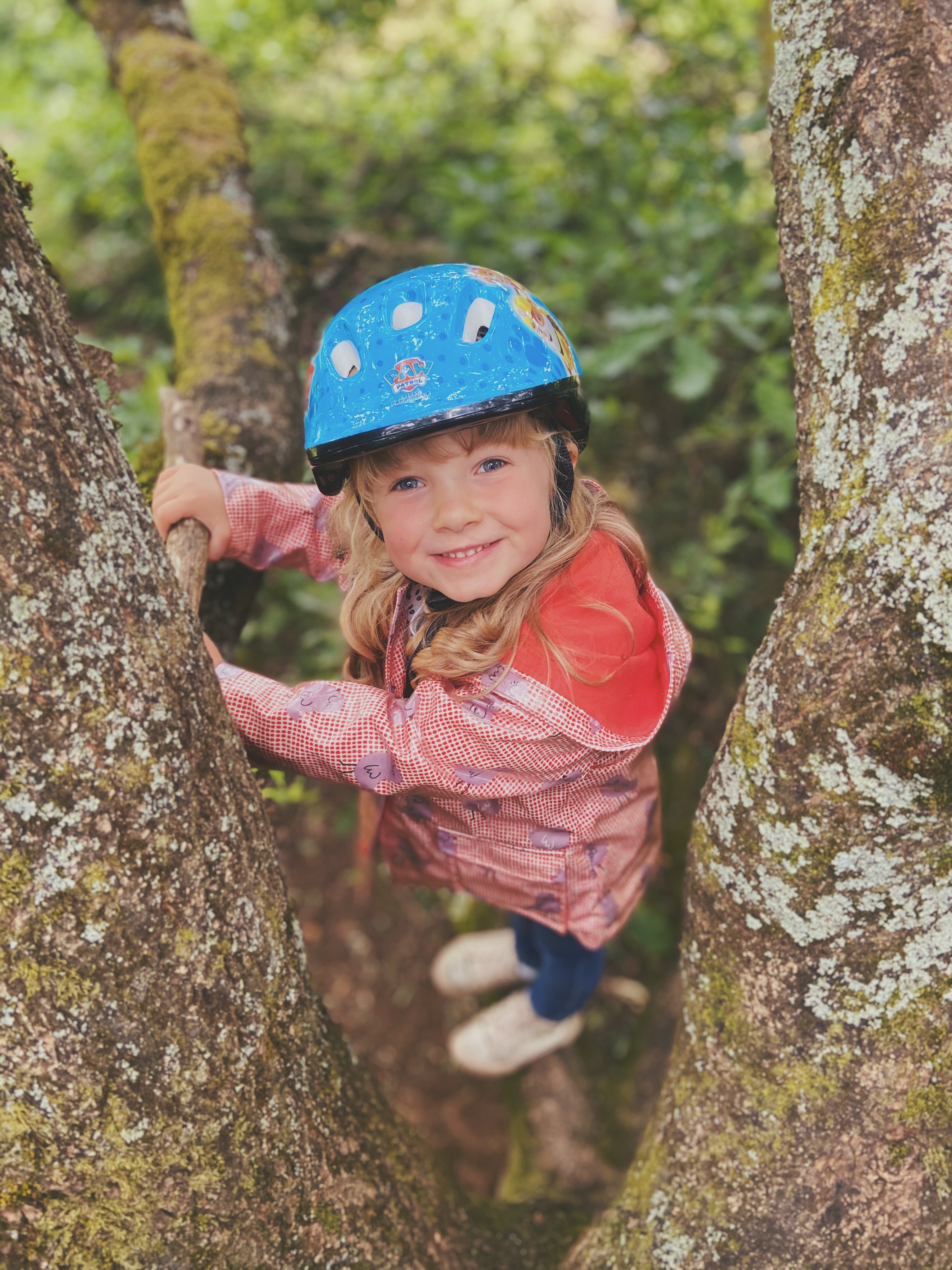 A little girl looks up at the camera whilst sat high in a tree