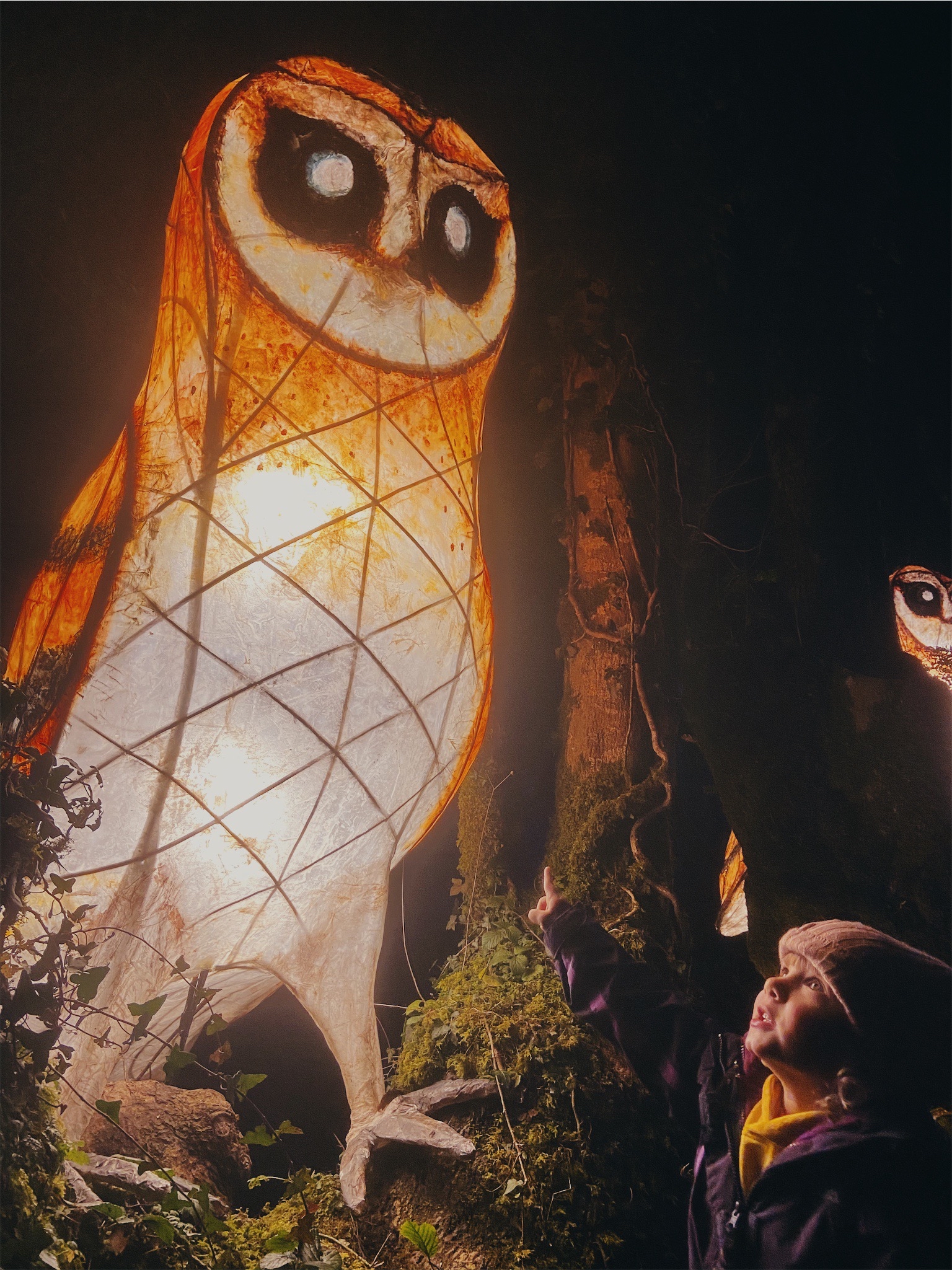 A little girl points to a huge illuminated owl in a dark wood