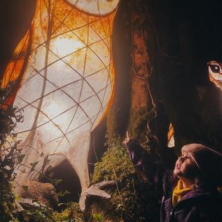 A little girl points to a huge illuminated owl in a dark wood