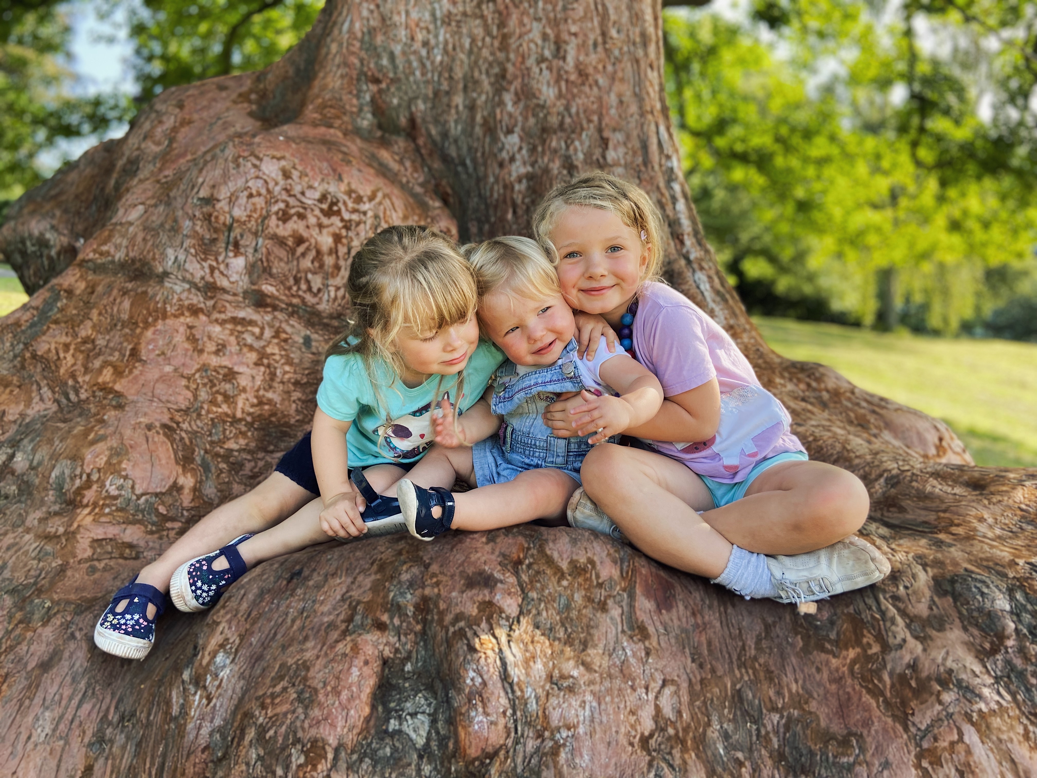 Three young girls sat on a large tree root