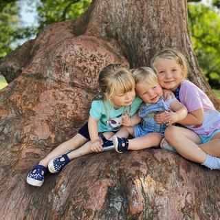 Three young girls sat on a large tree root